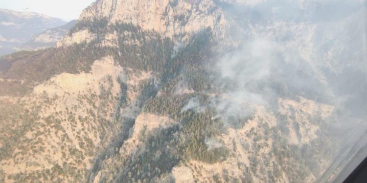 TEMA Vakfı, orman yangınlarına karşı ikazda bulundu