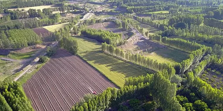 Hazine arazisinden 22 milyar lira gelir elde edildi