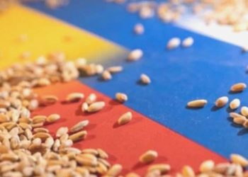 ABD’nin gündeminde Tahıl Koridoru var: Alternatifler aranıyor