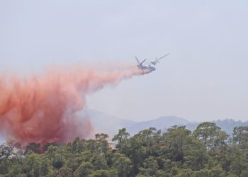 Adana’da ormanlık alana sıçrayan yangın söndürüldü