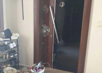 Annesi ve anneannesini baltayla öldüren bayan tutuklandı