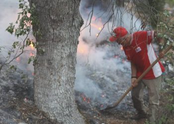 Antalya’daki orman yangınına müdahale sürüyor