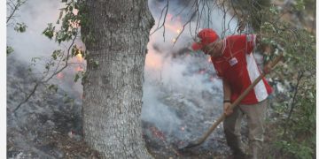 Antalya’daki orman yangınına müdahale sürüyor