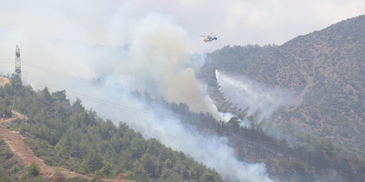 Balıkesir ve Hatay’da orman yangınları