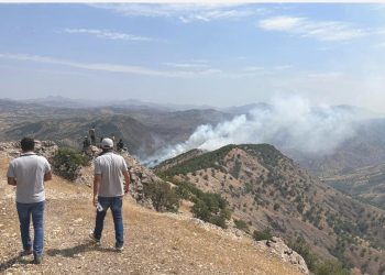 Bingöl’de ormanlık alanda çıkan yangına müdahale sürüyor