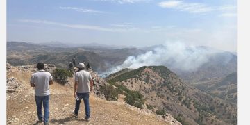 Bingöl’de ormanlık alanda çıkan yangına müdahale sürüyor