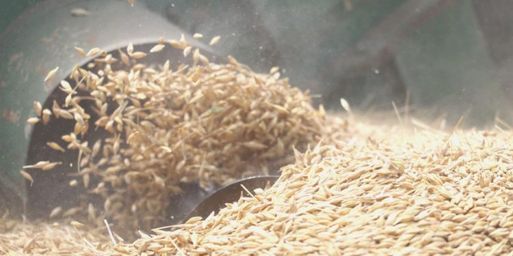 Buğday fiyatları yüzde 2’den fazla yükseldi