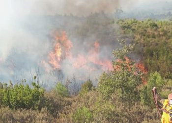Burdur’da orman yangını