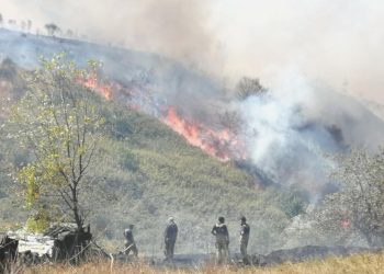 Büyükçekmece’de orman yangını: Çok sayıda grup sevk edildi