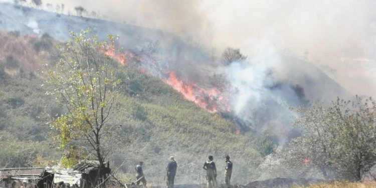 Büyükçekmece’de orman yangını: Çok sayıda grup sevk edildi