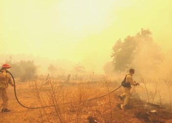 Çanakkale’de orman yangını çıktı