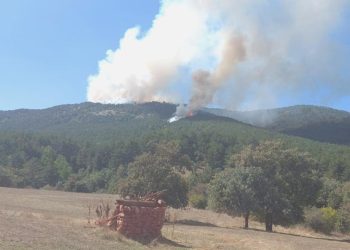 Çanakkale’de orman yangını çıktı! Müdahale sürüyor