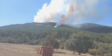 Çanakkale’de orman yangını çıktı! Müdahale sürüyor