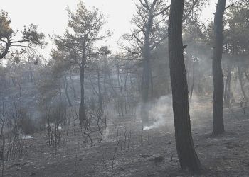 Çanakkale’deki orman yangını denetim altına alındı