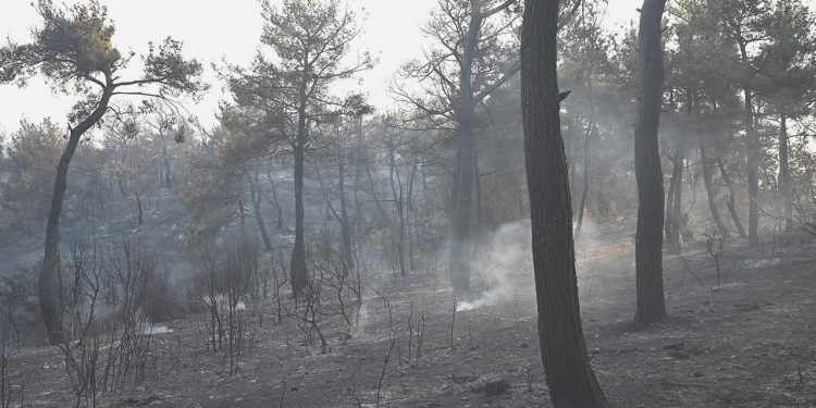Çanakkale’deki orman yangını denetim altına alındı
