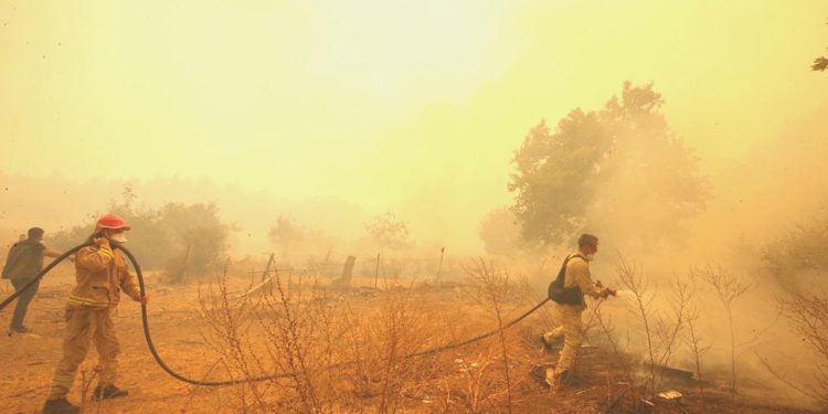 Çanakkale’deki yangında 120 aile ziyan gördü: Yardım yapılacak