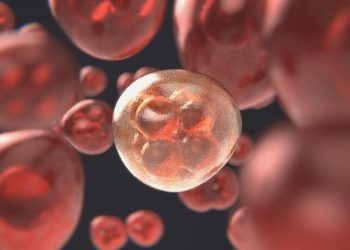 Göğüs kanseri teşhisine yapay zeka takviyesi