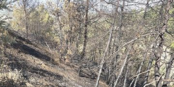 Hatay’daki orman yangınında üç tutuklama