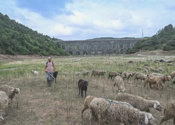 İstanbul barajları dokuz yılın düşük doluluğunda: Su kesintisi kapıda
