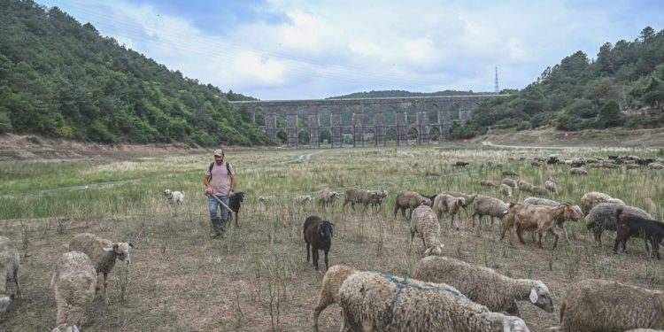 İstanbul barajları dokuz yılın düşük doluluğunda: Su kesintisi kapıda