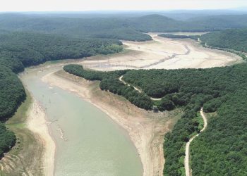 İstanbul’da kuruyan barajlarda artık hayvanlar otlanıyor