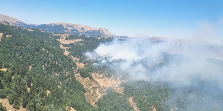 Kahramanmaraş’ta çıkan orman yangınına müdahale ediliyor