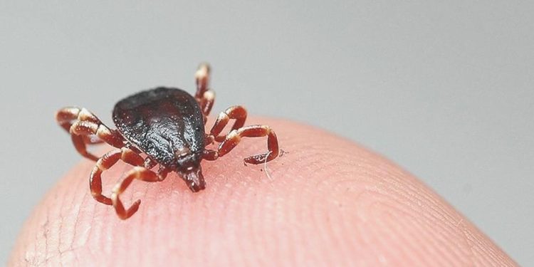 Kene yapışan 22 yaşındaki genç hayatını kaybetti