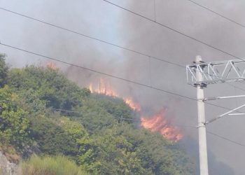 Kocaeli TÜBİTAK yerleşkesinde yangın
