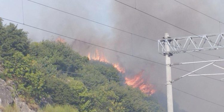 Kocaeli TÜBİTAK yerleşkesinde yangın