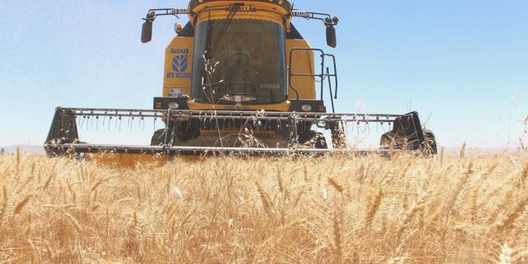 Konut fiyatları arttı, tarla ve arsa satışları rekor kırdı