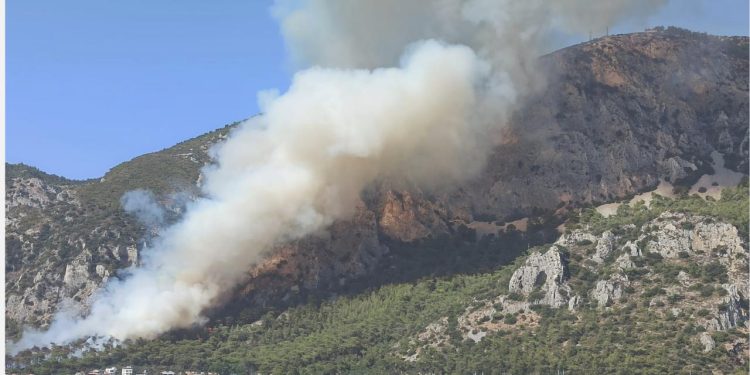 Muğla’da çıkan orman yangınına müdahale ediliyor
