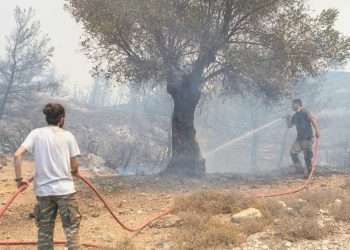 Orman personeline “şehit” statüsü tanındı