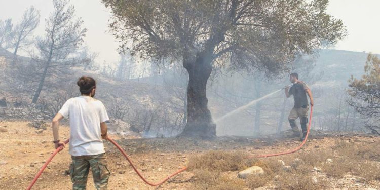Orman personeline “şehit” statüsü tanındı
