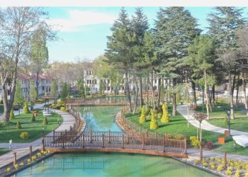 Saraçoğlu mahallesi yine hayat buluyor