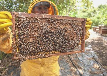 TİKA’dan Fırat Kalkanı Harekatı bölgesindeki arıcılara dayanak
