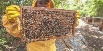 TİKA’dan Fırat Kalkanı Harekatı bölgesindeki arıcılara dayanak