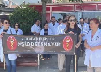Veterinerlerden ‘şiddet’ aksiyonu