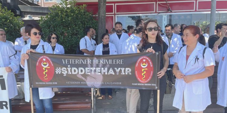 Veterinerlerden ‘şiddet’ aksiyonu