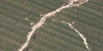 Zelzele bölgesinde tarım dalı yapan düzenleme bekliyor