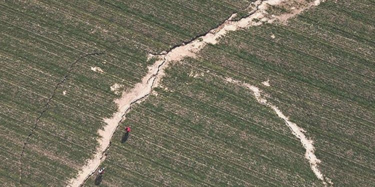 Zelzele bölgesinde tarım dalı yapan düzenleme bekliyor