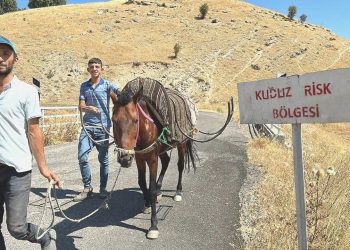 Adıyaman’da sahibini ısıran at kuduz çıktı; köy karantinada