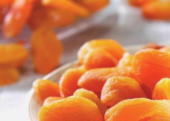 Afetzede kayısı üreticilerine 1 milyar TL üzerinde hasar ödemesi yapıldı