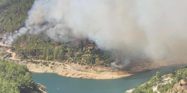 Alanya’da yerleşim alanlarına yakın orman yangını