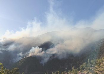Alanya’daki orman yangını kısmen denetim altına alındı