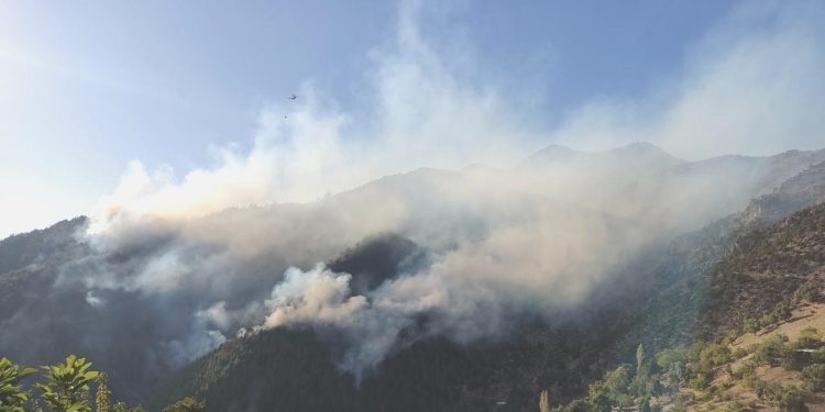 Alanya’daki orman yangını kısmen denetim altına alındı