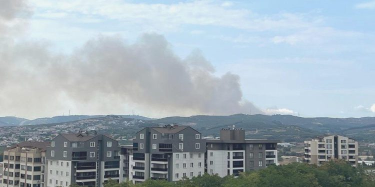 Bursa’daki yangında 34 futbol alanı büyüklüğündeki alan küle döndü