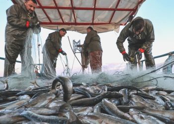 İstanbullu balıkçılar yeni döneme hazırlanıyor