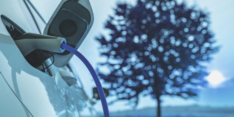 Kamuya taşıt alımında öncelik yerli ve çevreci araçlarda