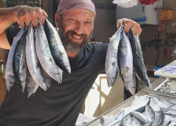 Karadeniz’de palamut ağlara takıldı