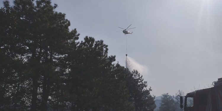 Kocaeli’de ormanlık alanda yangın çıktı